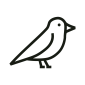 birdwatching-walks-icon